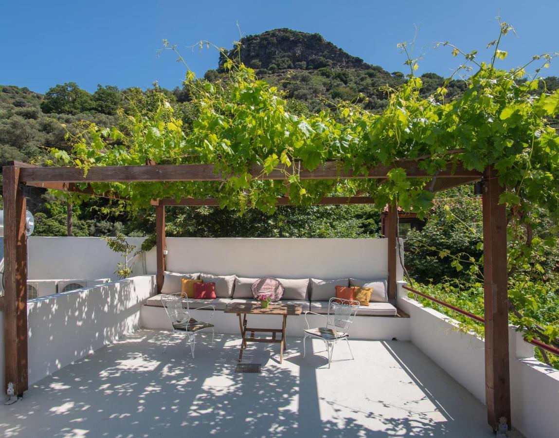 Feneri 3 -Cozy Rustic Apt 20' From Elafonisi Beach Perivolia  Екстер'єр фото